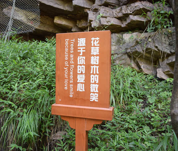 1540519199677323.jpg 1540519199677323.jpg