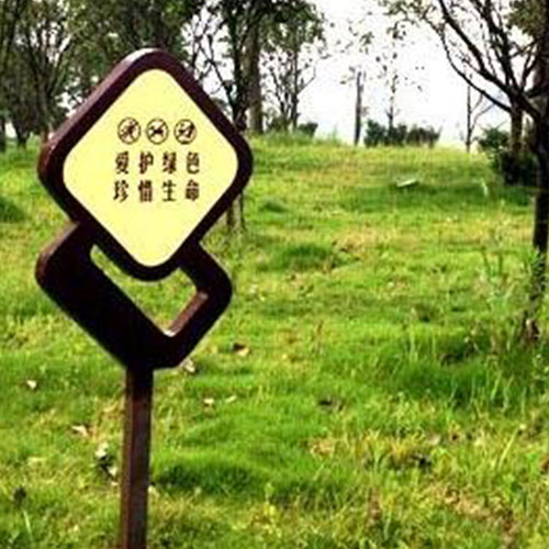 1573810029764435.jpg 10.jpg