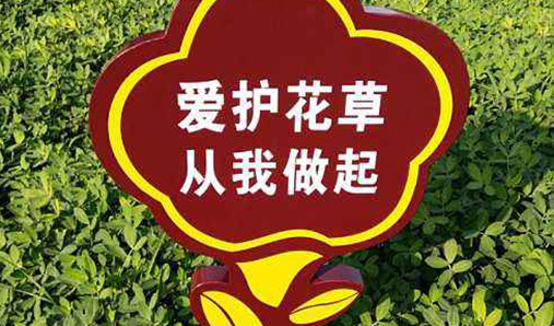 校园花草牌常用标语分享