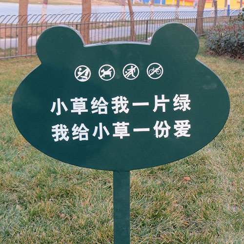 1589798028382870.jpg 12.jpg