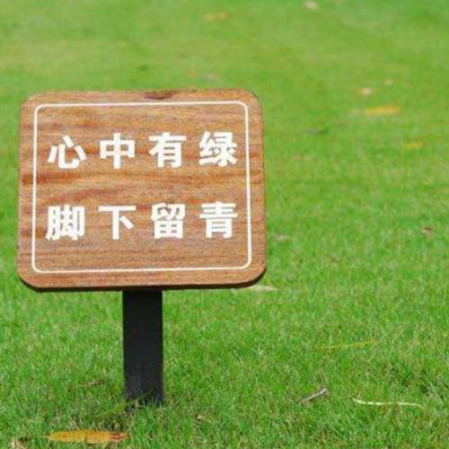 1604309748509563.jpg 6.jpg